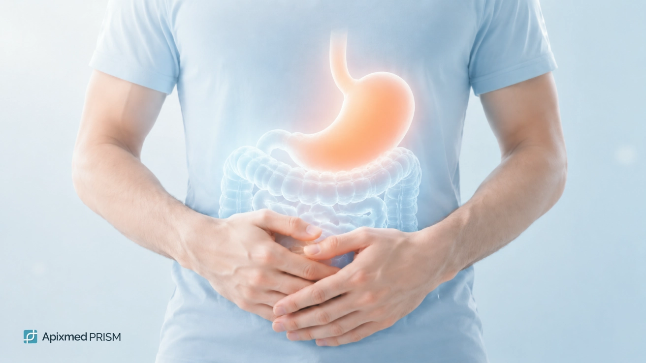 An anatomical 3D model of the human digestive system with a highlighted stomach and intestines on a light background — the main cover image for the article on genetic metabolic traits.